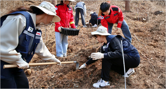 식목일 식재 조림활동 이미지