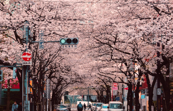 우리 동네 할인