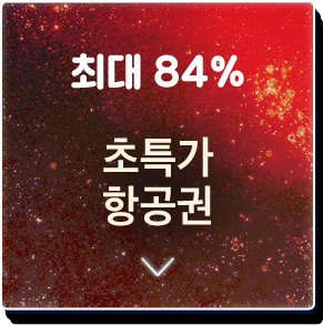 초특가 항공권