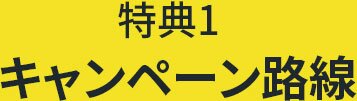 이벤트 노선