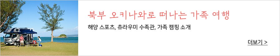 접근성텍스트입력