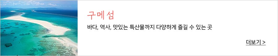 접근성텍스트입력