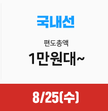 국내선 편도총액 1만원대