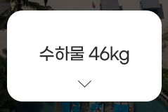 수하물 46kg