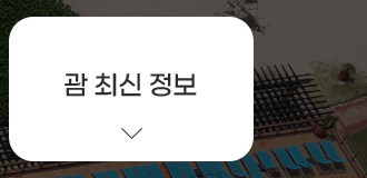 괌 최신 정보
