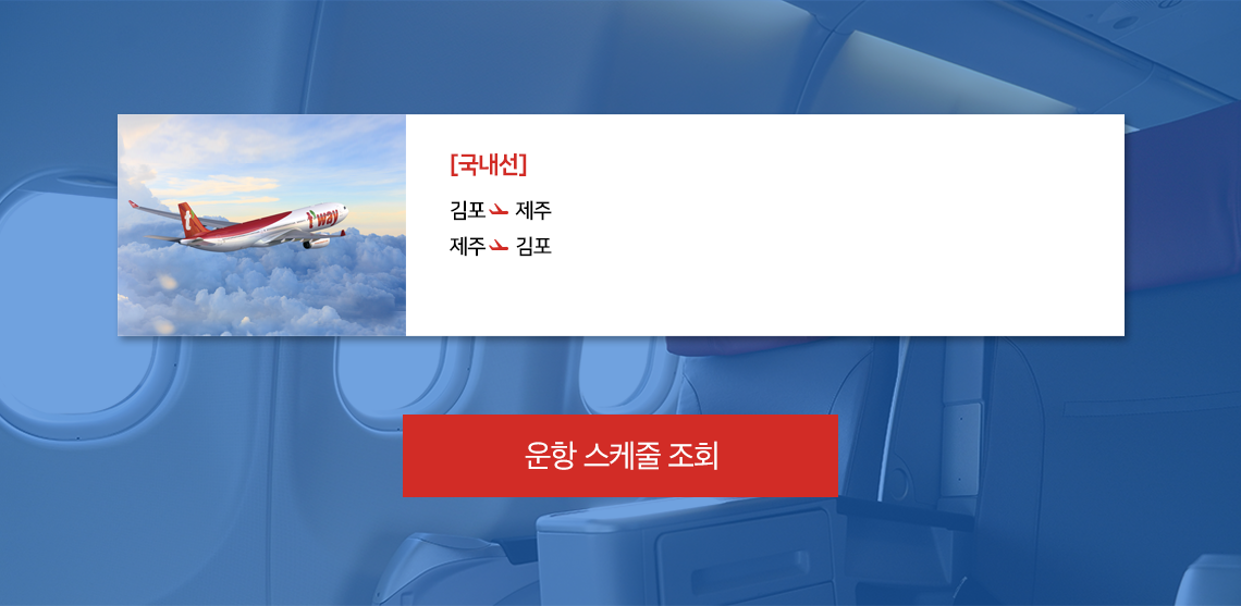 국내선 운항 스케줄