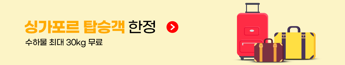 싱가포르 탑승객 한정 수하물 최대 30kg무료