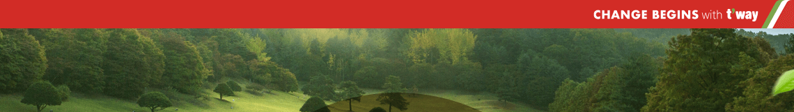 大阪/清州 運航開始 visual