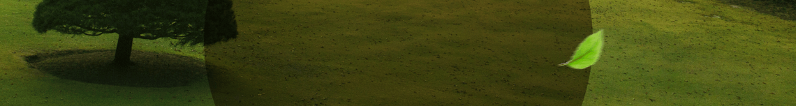 大阪/清州 運航開始 visual