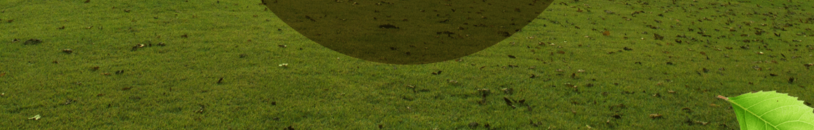 大阪/清州 運航開始 visual