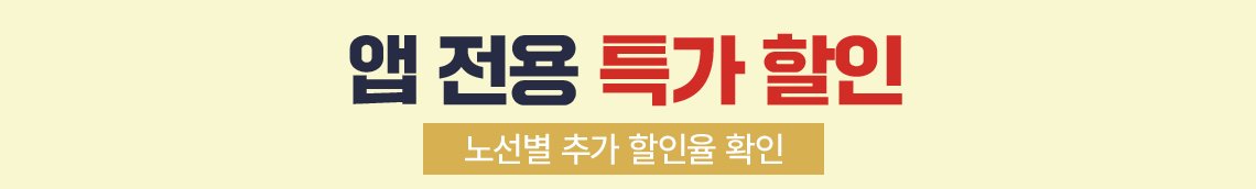 앱 전용 특가 할인(노선별 추가 할인율 확인)