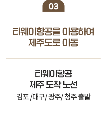 03 티웨이항공을 이용하여 제주도로 이동 티웨이항공 제주 도착 노선 김포/대구/광주/청주 출발