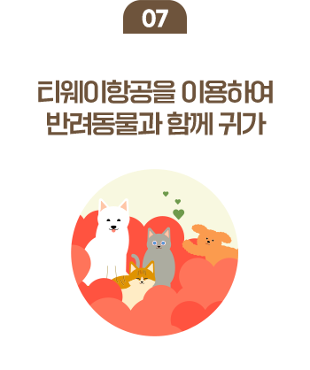07 티웨이항공을 이용하여 반려동물과 함께 귀가