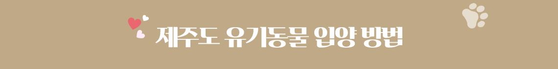 제주도 유기동물 입양 방법