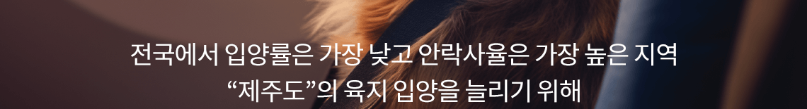 전국에서 입양률이 가장 낮고 안락사율은 가장 높은 지역 제주도의 육지 입양을 늘리기 위해