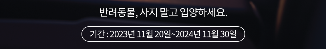반려동물, 사지 말고 입양하세요 (기간 : 2023년 11월 20일 ~ 2024년 11월 30일)