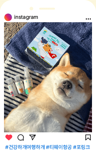 #반려견여행 #티웨이항공 #ANF