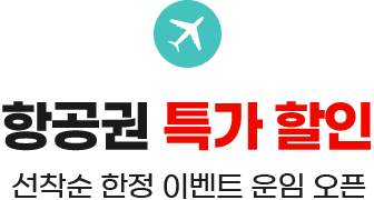 항공권 특가 할인