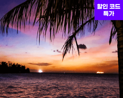 할인 코드 특가