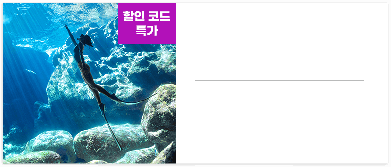 할인 코드 특가