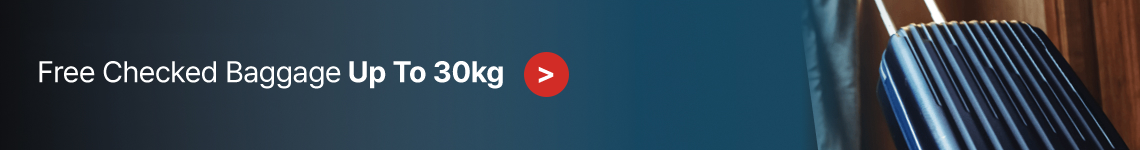 Free Checked Baggage Up To 30kg