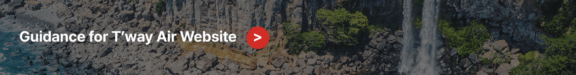 Guidance for T’way Air Website