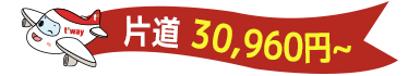 片道 30,272円~