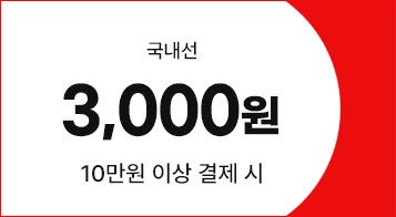 국내선, 3,000원, 10만원 이상 결제 시