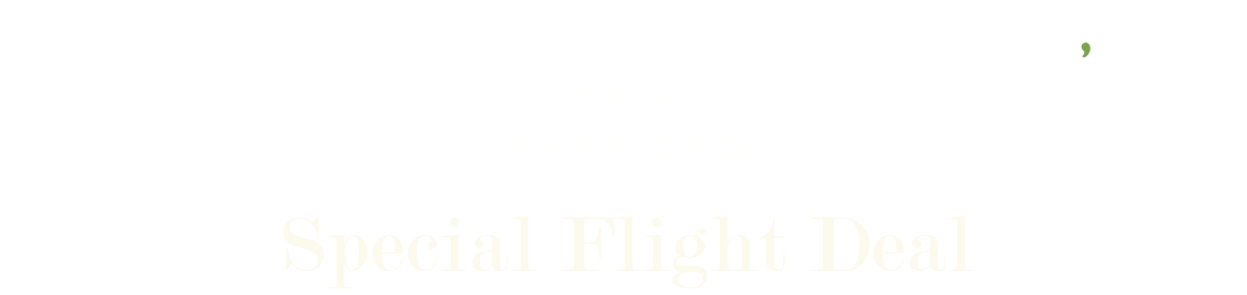 t'way air, 2024 YEAR END, Special Flight Deal