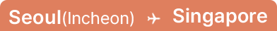Seoul(Incheon) → Singapore