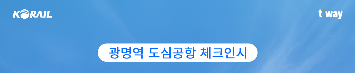 광명역 도심공항 체크인시