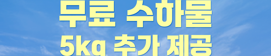 무료 수하물 5kg 추가 제공