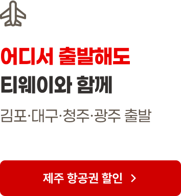 어디서 출발해도 티웨이와 함께 김포 대구 청주 광주 출발