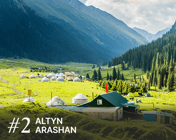 #2 ALTYN ARASHAN