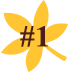 #1