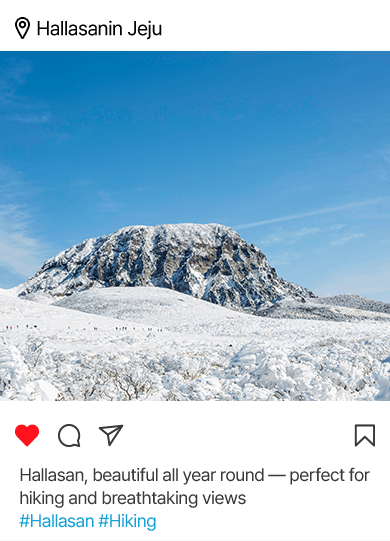 Hallasanin Jeju