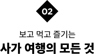 보고 먹고 즐기는 사가 여행의 모든 것