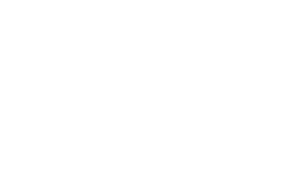 2025 여행 리포트. 여러분이 남긴 2025년 여행이 순간들, 함께 살펴볼까요?