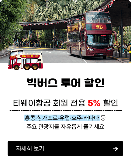 빅버스 투어 할인